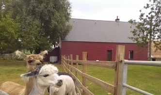 Une rénovation pour un projet de vie ! - Hauts-de-France Pass Rénovation